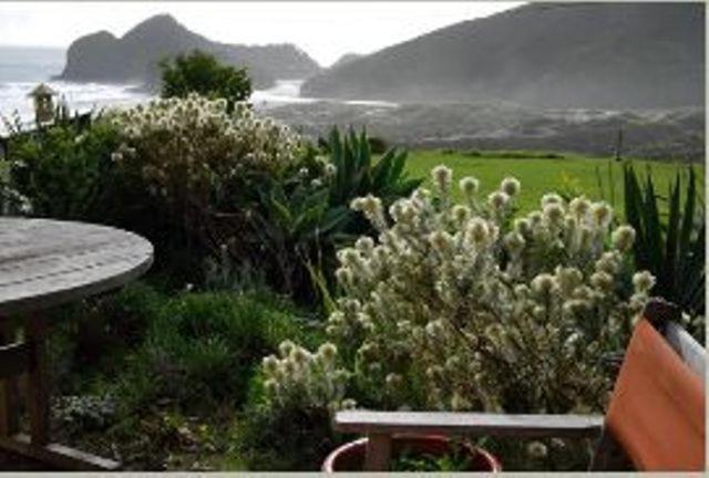 Bethells Beach Cottages Exteriör bild