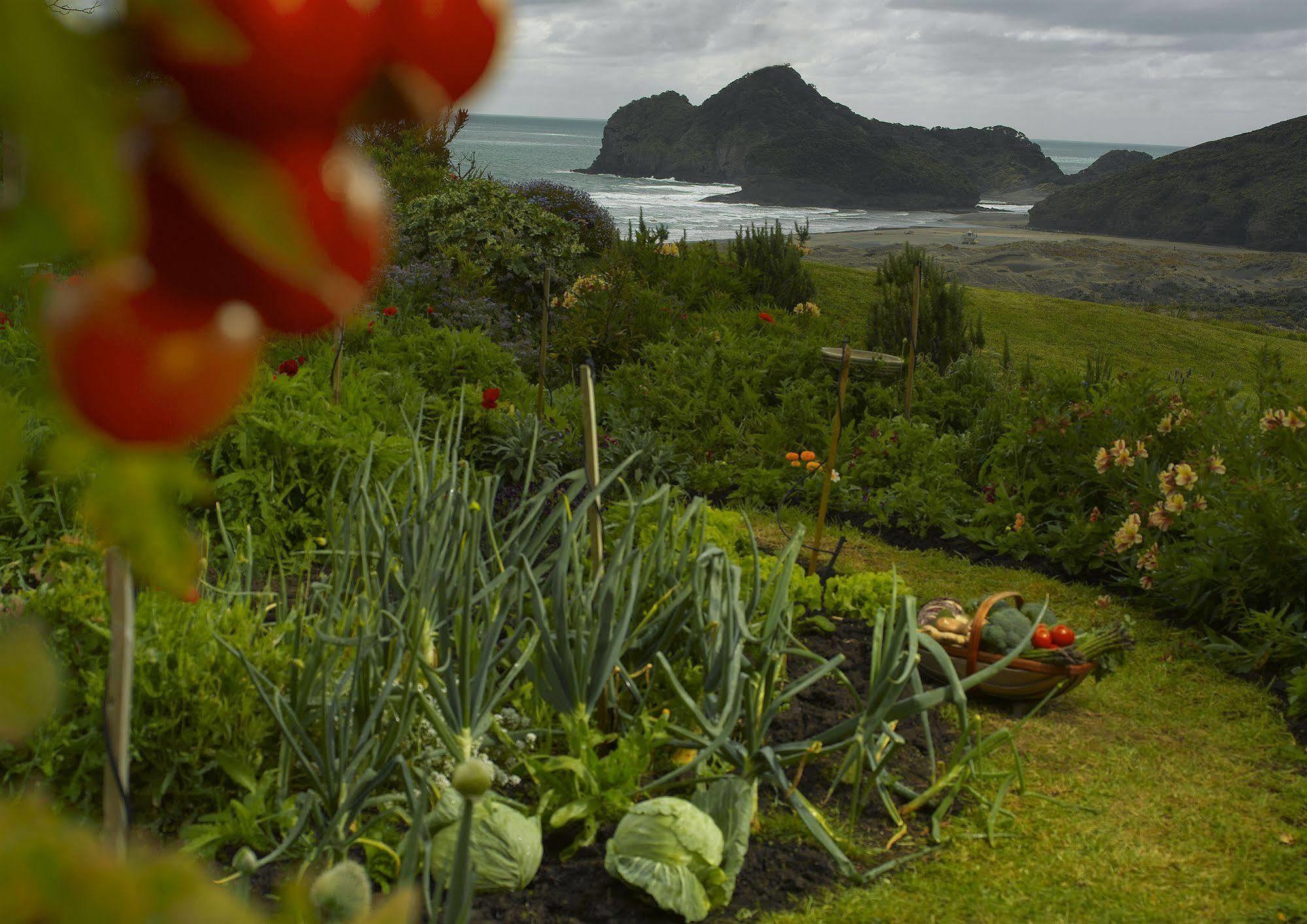 Bethells Beach Cottages Exteriör bild